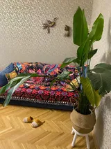 Прохор М. review photo