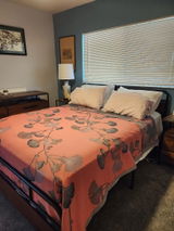 PJ review photo
