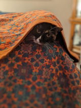 Mindi F. review photo