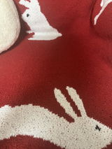 Rae review photo