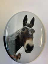 Ronny L. review photo
