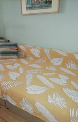 Amparo B. review photo