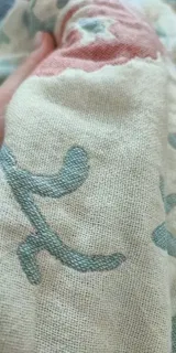 Shelby review photo