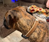 Frieda review photo
