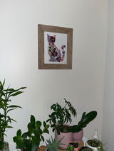 Marcelina review photo