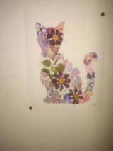 Kendra review photo