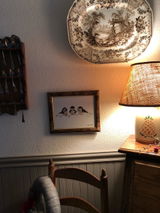 Novella review photo
