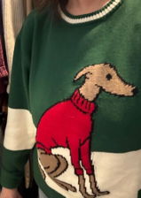Houndchaser review photo