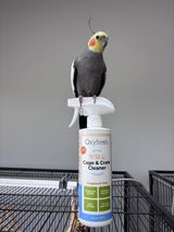 @thepeekaboobirds review photo
