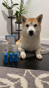 AikoTheExplorer review photo
