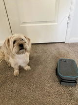 Vee review photo