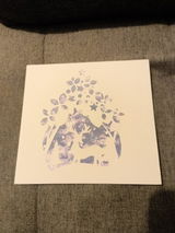 audax review photo