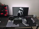 Sstefin review photo