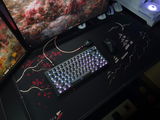 Ash review photo