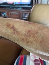 Aurora Strong review photo