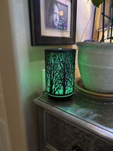 Dean Egner review photo