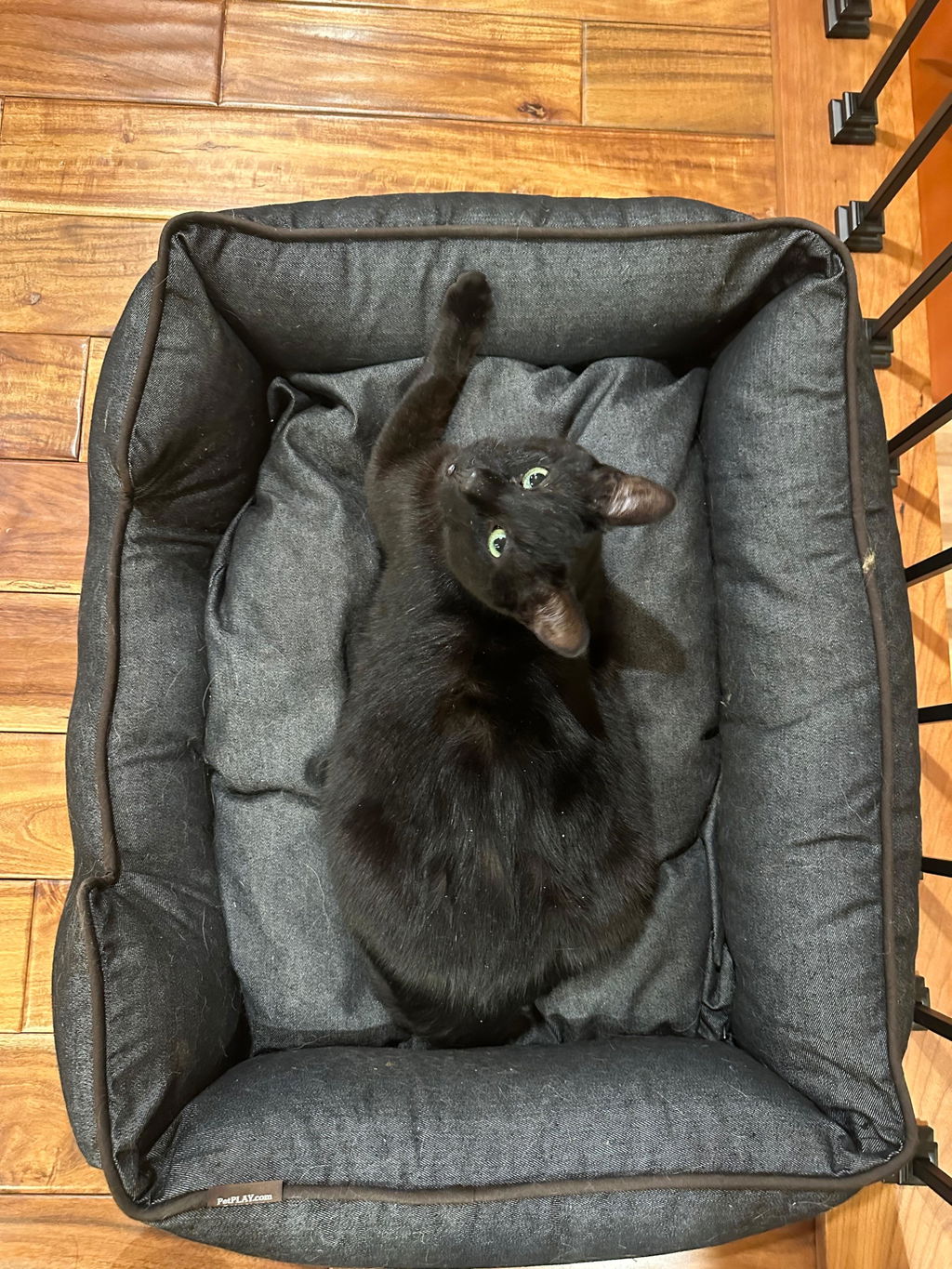 Urban Denim Lounge Bed