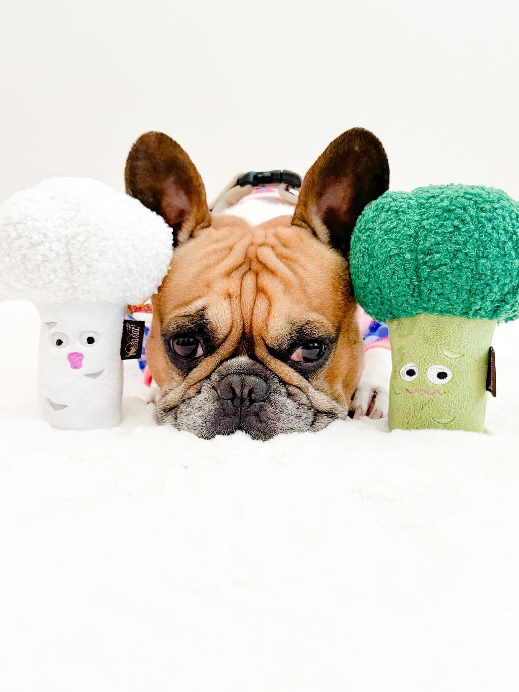 Picked Fresh Veggie Munch Duo Dog Toy by Play Pet Brands