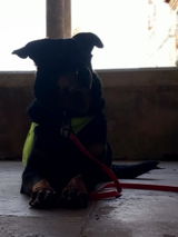 laetitia beaudenon review photo