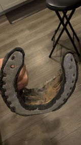 Chantel Westall review photo