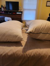 Hlifemom review photo