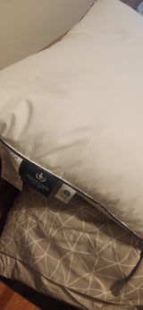 alessio review photo