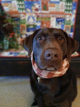 Jill W. review photo