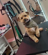 Myra Eleni Flores review photo