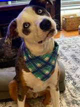 Nantucket Bandana