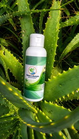Abios Motjelele review photo