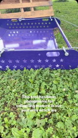 Agape_Homestead review photo