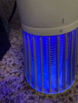 Roy review photo