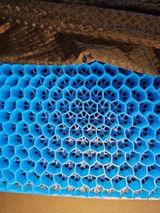 Sophie S. review photo