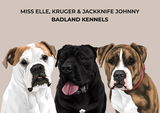 Jessica Koronis review photo