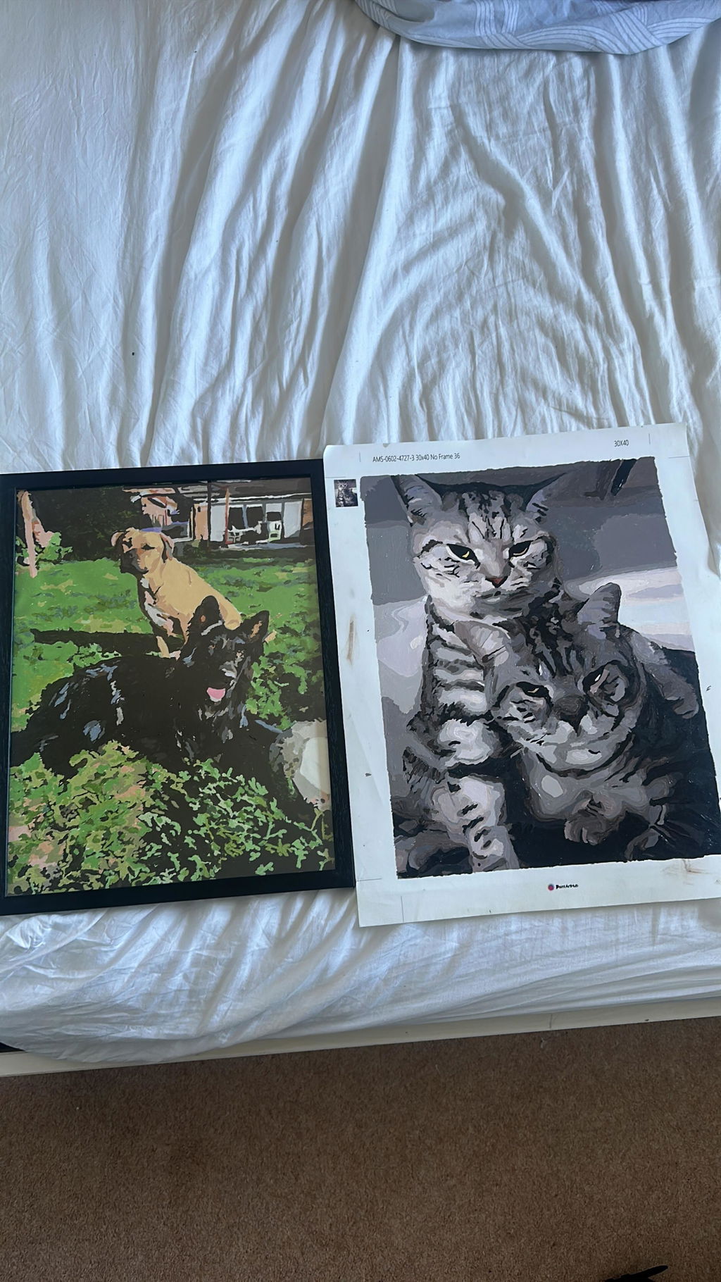 Personalised Paint by Numbers from Your Photo