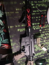 Tomislav C. review photo