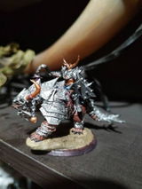 Emory review photo