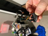 Xzavier review photo