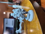 Lesley review photo