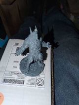 Daryl review photo