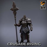 Ross review photo