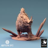 Cody review photo