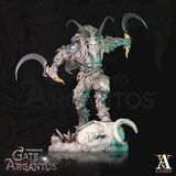 Oda review photo