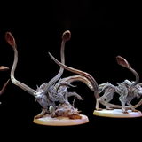 Clovis review photo