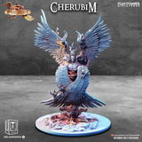 Cletus review photo