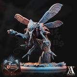 Forrest review photo