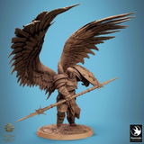 Vladimir review photo
