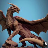 Blair review photo