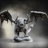Gabe review photo