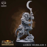 Vladimir review photo